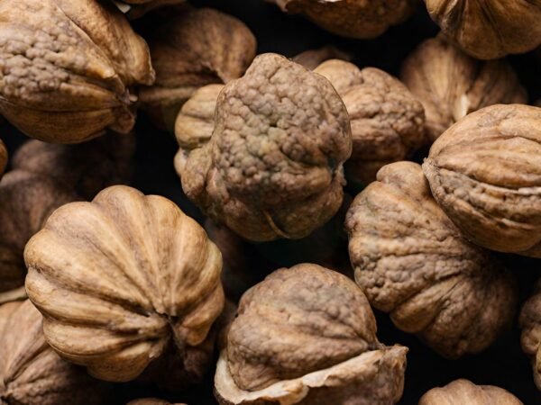 How to Shell Black Walnuts: Harvesting to Culinary Uses