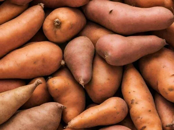 Is Sweet Potato Carbs: Nutritional Showdown!