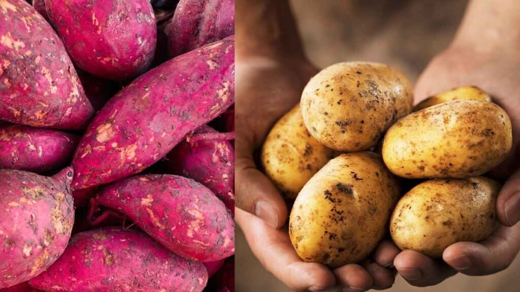 Sweet Potatoes vs. Regular Potatoes