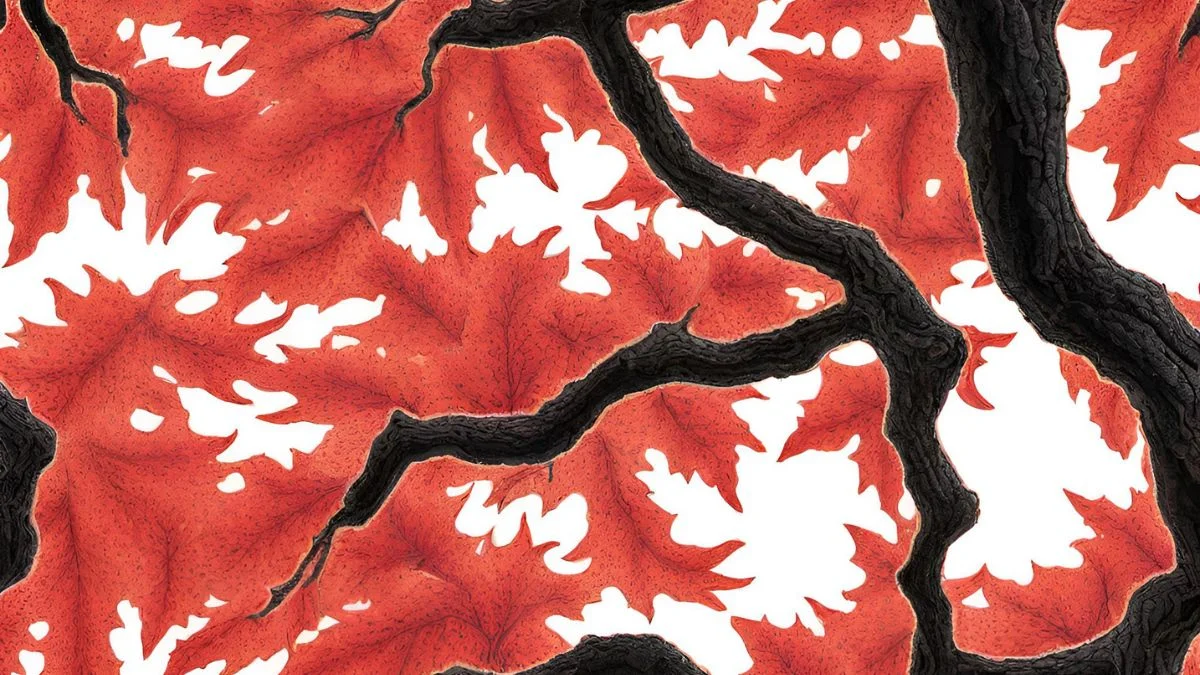 Japanese Maple Tree Coral Bark: Complete Guide & Tips