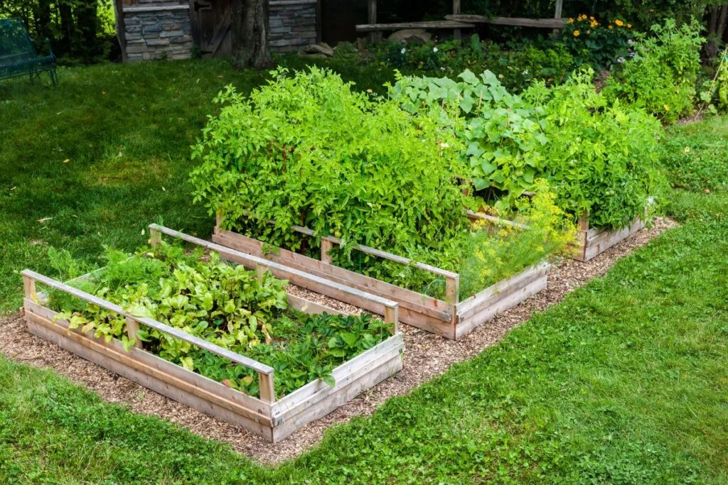 Types of Raised Bed Gardens