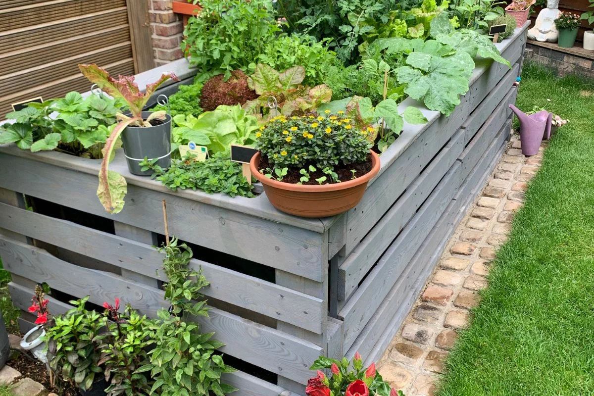 Types of Raised Bed Gardens: The Ultimate Guide