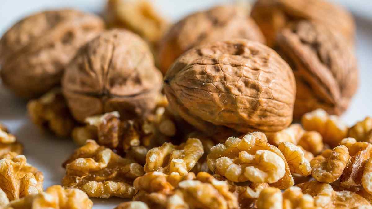 When Are Black Walnuts Ripe: Harvesting and Processing Guide