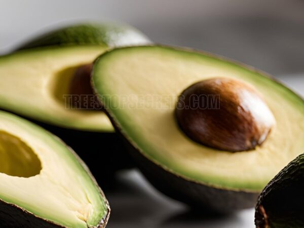 Top Reasons for Brown Spots in Avocado and How to Prevent Them?