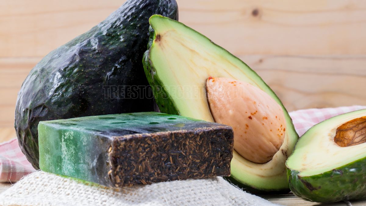 Why Are Avocados So Expensive? Decoding Price Fluctuations