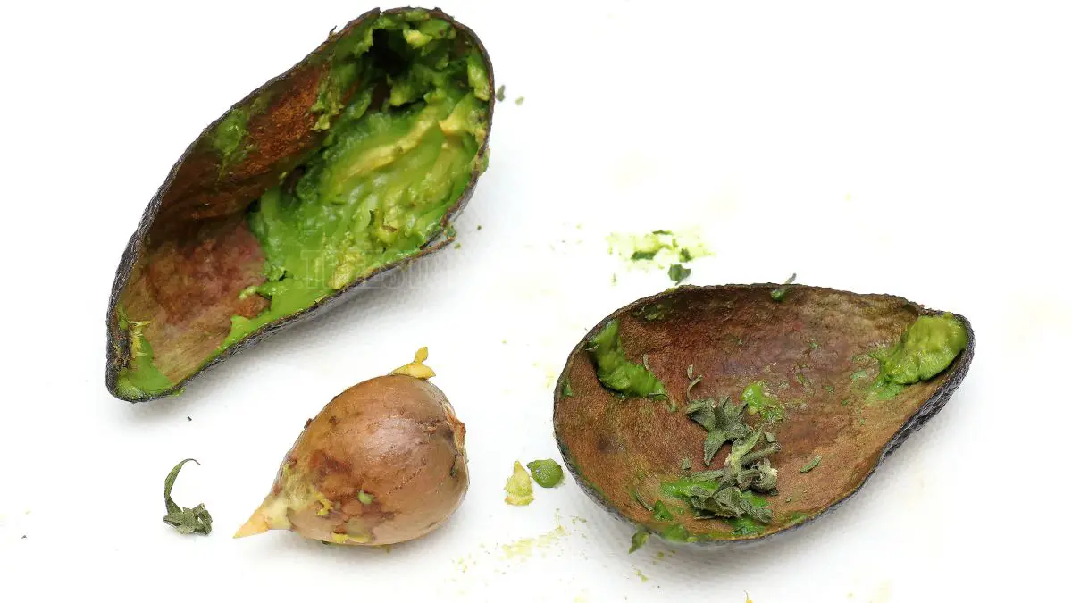 Can You Eat Avocado Skin? Health Benefits Unveiled!