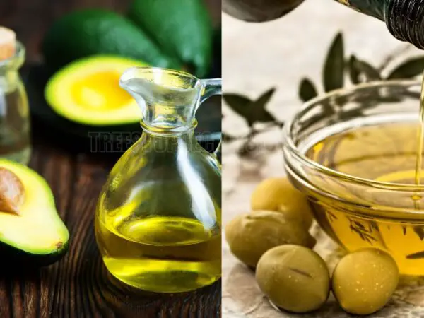 Can You Use Avocado Oil Instead of Olive Oil? Here’s What You Should Know