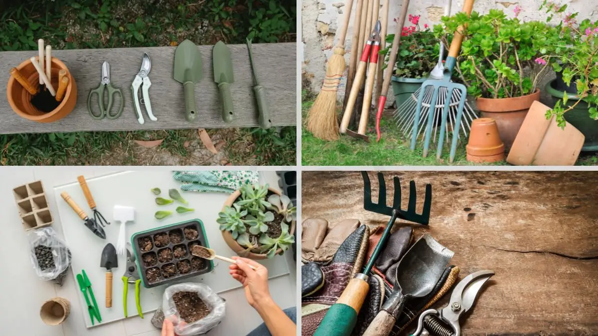Best Cheap Garden Tools with Multiple Uses: Complete Guide