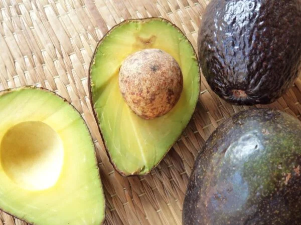 How to Keep a Cut Avocado from Turning Brown: 7 Pro Tips