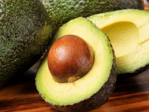 How to Know When Avocado Ripe: Tips for Perfect Ripeness