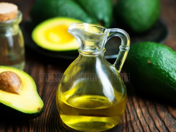 What Are the Benefits of Avocado Oil: Incredible Benefits of Avocado Oil You Need to Know