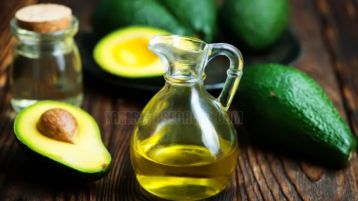 What Are the Benefits of Avocado Oil: Incredible Benefits of Avocado Oil You Need to Know