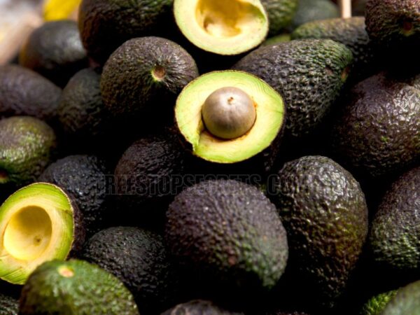 What Color is Avocado? Discover the Secret Shade of This Delicious Fruit