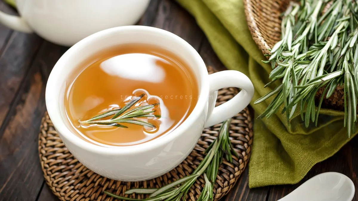 Can You Drink Rosemary Tea? Benefits & Brewing Tips