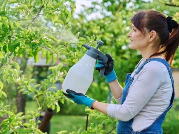 Does Bleach Hurt Plants? Impact & Effects Revealed