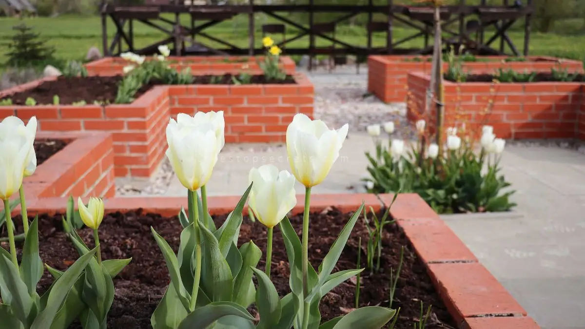Flower Bed Edging Bricks: Enhance Your Garden Borders