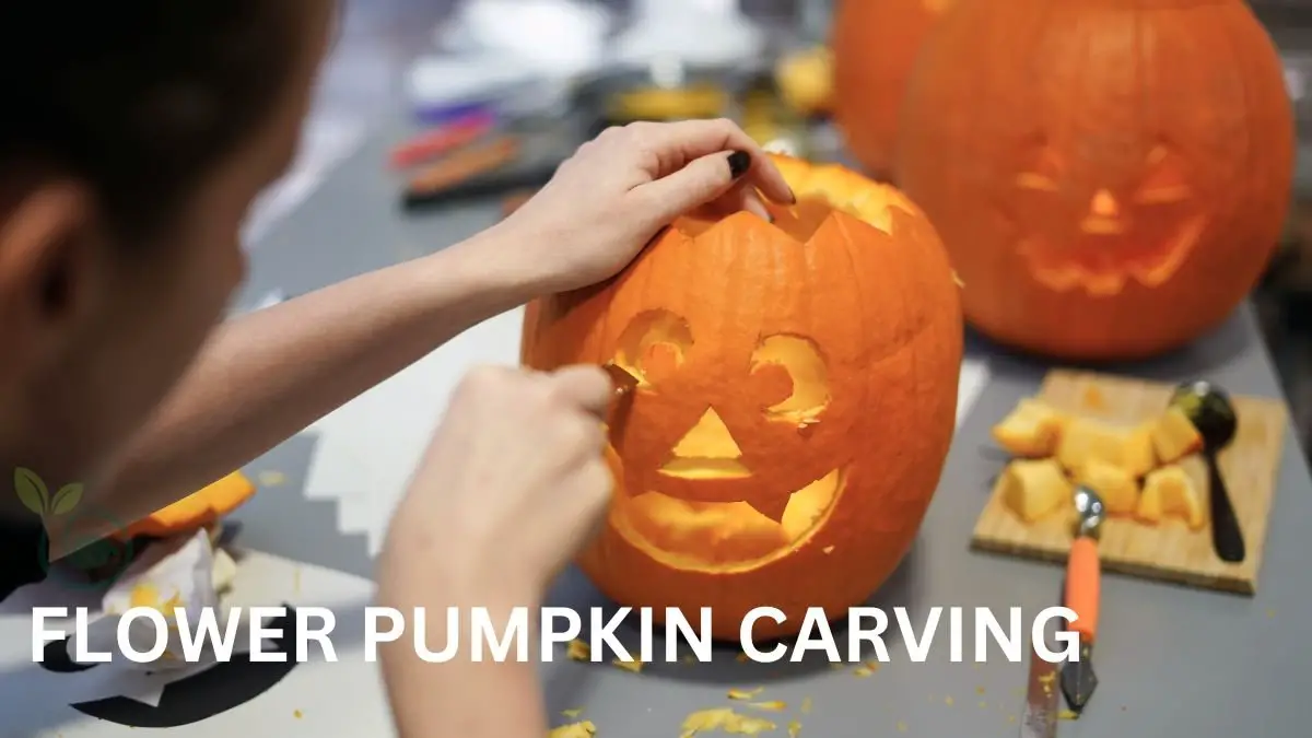 Flower Pumpkin Carving: Easy Floral Designs Guide