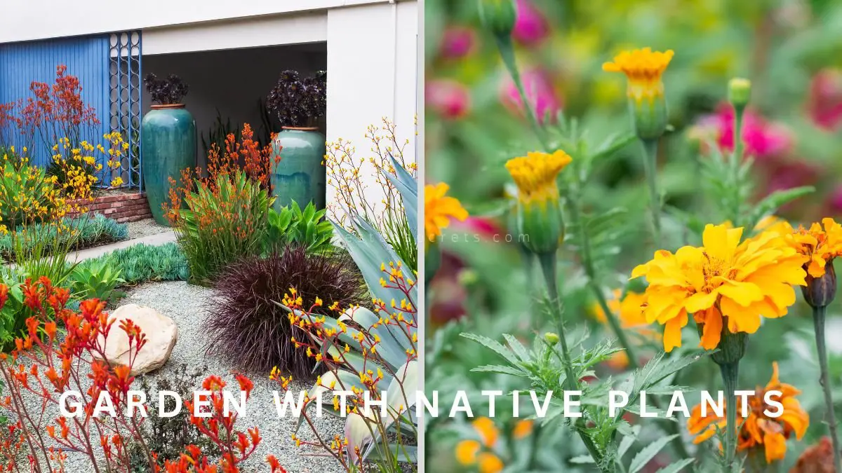 Garden with Native Plants: Discovering Native Flora