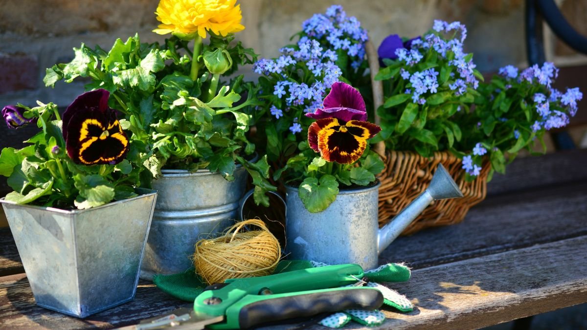 Plant Pot Design: Stylish Pots For Your Plants
