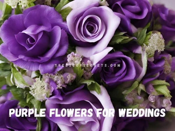 Purple Flowers for Weddings: Your Ultimate Guide