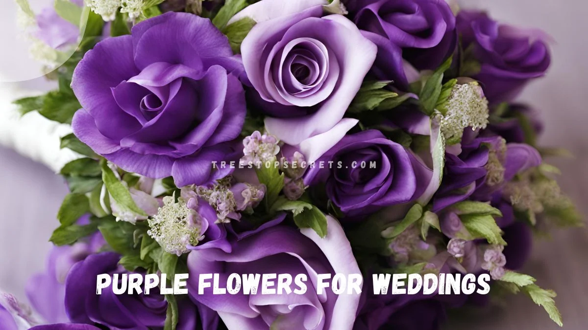 Purple Flowers for Weddings: Your Ultimate Guide