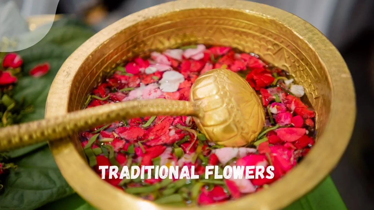 Traditional Flowers: A Cross-Cultural Exploration