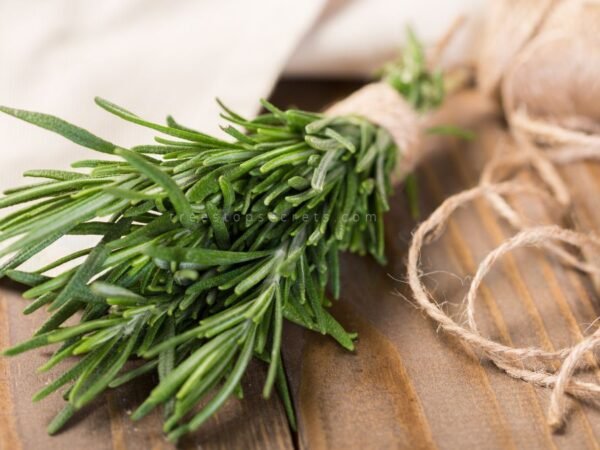 What Does Rosemary Symbolize? Unveiling its Meaning