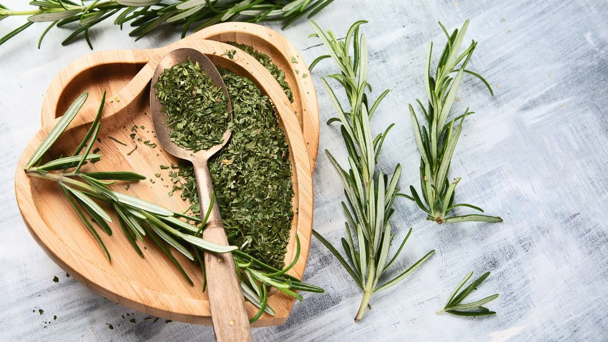 Can You Eat Fresh Rosemary: Proper Storage Tips