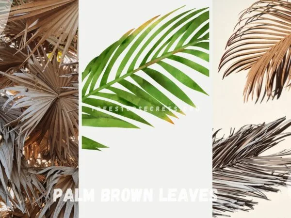 Why are my palm leaves turning brown: Causes and Solutions