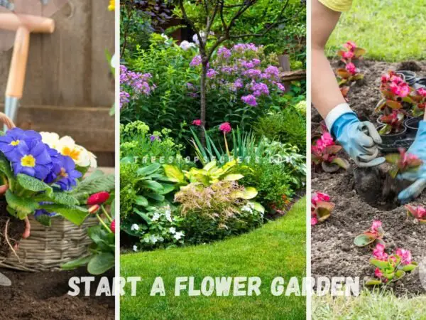 How Do I Start a Flower Garden: Easy Step-by-Step Guide