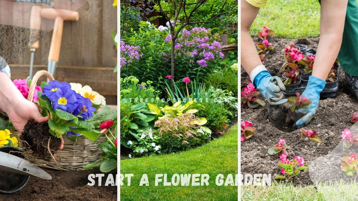 How Do I Start a Flower Garden: Easy Step-by-Step Guide
