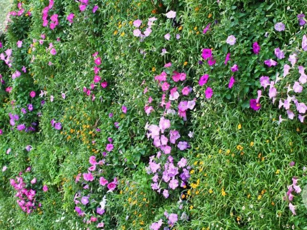 How to Build a Stunning Flower Wall: Step-by-Step Guide