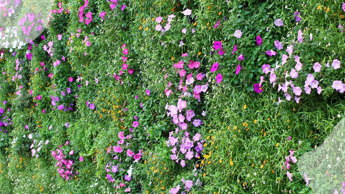 How to Build a Stunning Flower Wall: Step-by-Step Guide