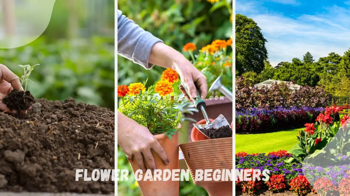 Flower Garden Beginners: Get Started Right!