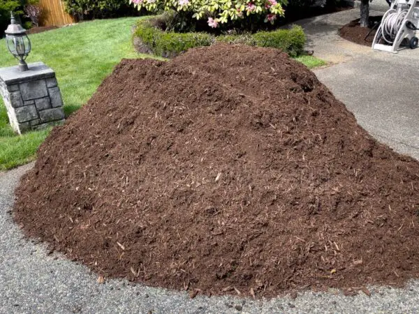 Compost for Lawn: Naturally Enrich Your Grass Today!