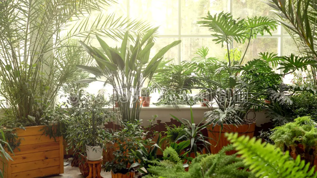 10 Amazing Benefits of Indoor Plants for Your Well-Being 1 10 benefits of indoor plants