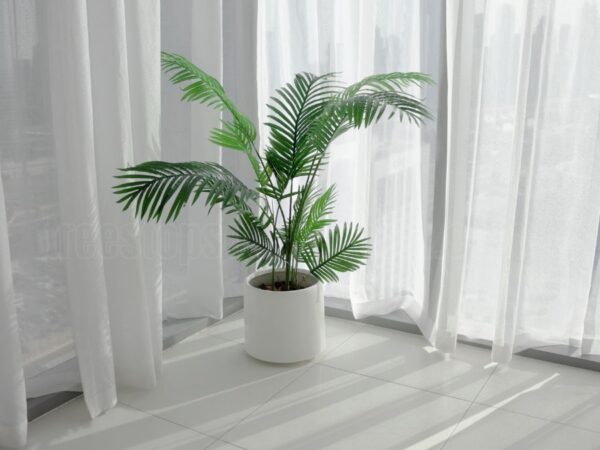 Benefits Of Indoor Palm Plants: Care Tips And Types To Consider