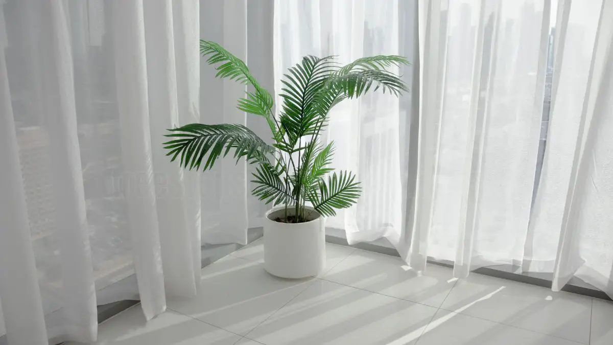 Benefits Of Indoor Palm Plants: Care Tips And Types To Consider