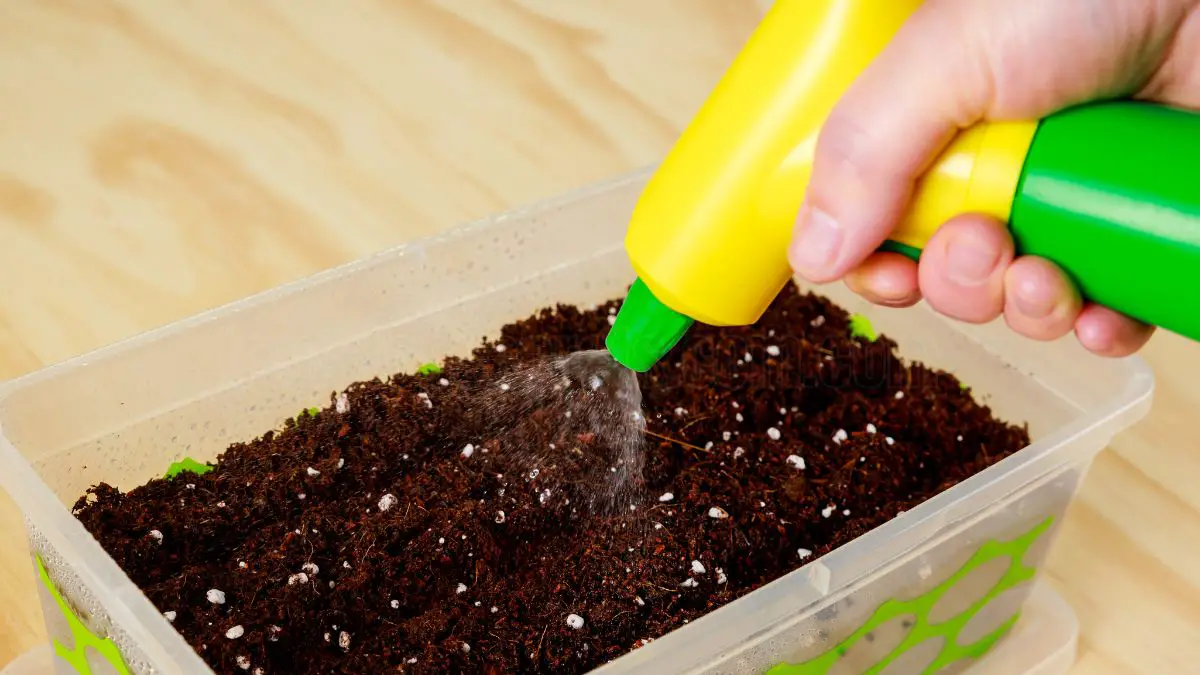 Homemade Seed Starting Mix: Easy Recipe for Thriving Seedlings 1 Benefits of Homemade Seed Starting Mix