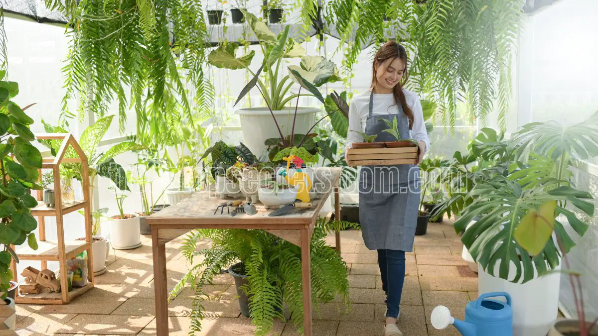 Essential Care Tips for Indoor Plants to Thrive