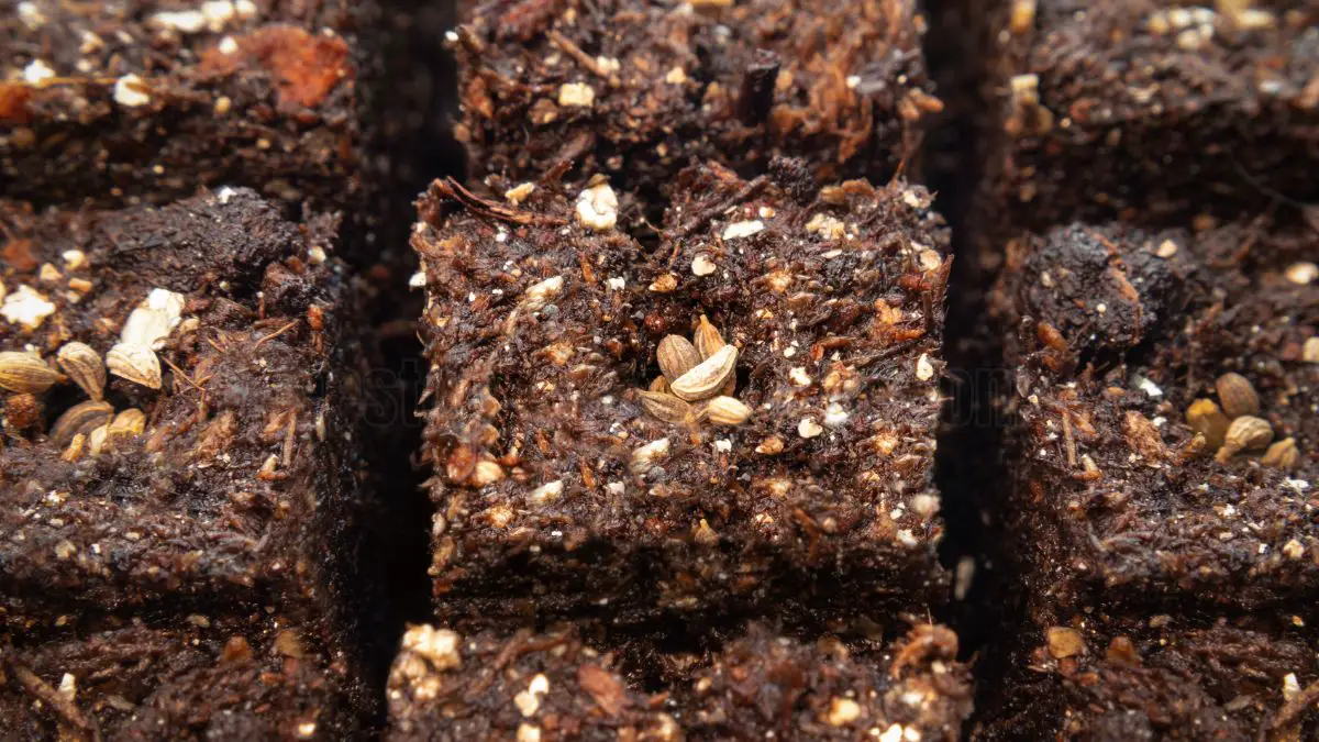 Homemade Seed Starting Mix: Easy Recipe for Thriving Seedlings