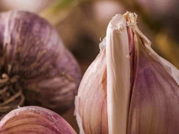 How to Grow Garlic from Cloves: A Step-by-Step Guide