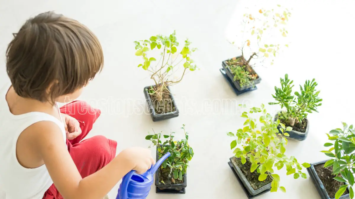 How to Take Care of Indoor Plants for Beginners