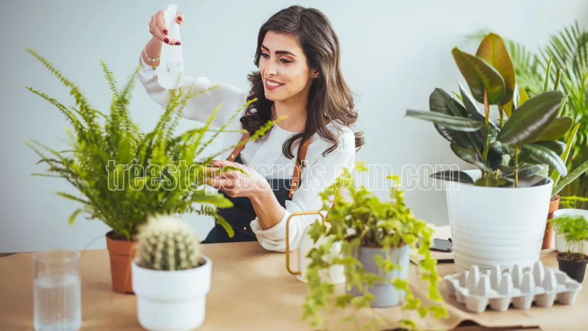 25 Best Indoor Plants for Every Home and Office Environment