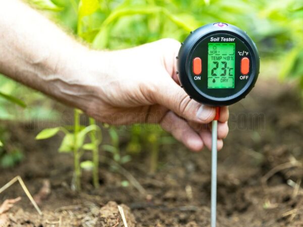 Soil Moisture Content: Importance, Calculation, and Formulas