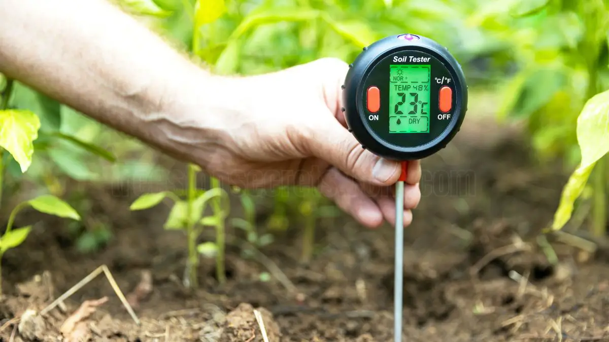 Soil Moisture Content: Importance, Calculation, and Formulas