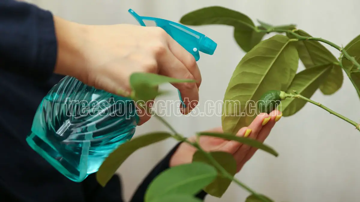 Indoor Plant Care Essentials: Tips, Tricks, and Resources 2 indoor plant care database